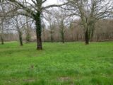 Terrain à bâtir à Pissos (40410) 2223903-1072annonce120250715dp3HH.jpeg Maisons France Confort