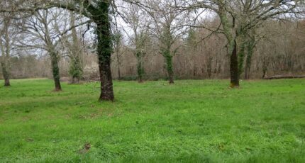 Pissos Terrain à bâtir - 2223903-1072annonce120250715dp3HH.jpeg Maisons France Confort