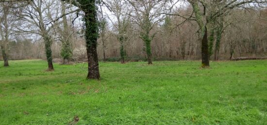 Terrain à bâtir à Pissos, Nouvelle-Aquitaine