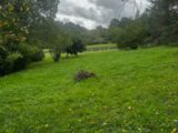 Terrain à bâtir à Libourne (33500) 2223995-10947annonce220250523Z0OxM.jpeg Maisons France Confort