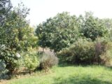 Terrain à bâtir à Castelnaudary (11400) 2223582-10986annonce120250715NczXo.jpeg Maisons France Confort