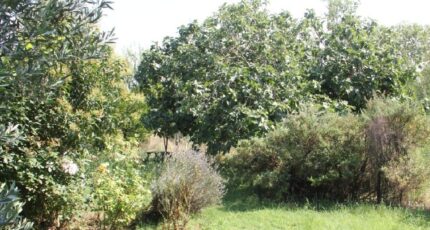 Castelnaudary Terrain à bâtir - 2223582-10986annonce120250715NczXo.jpeg Maisons France Confort