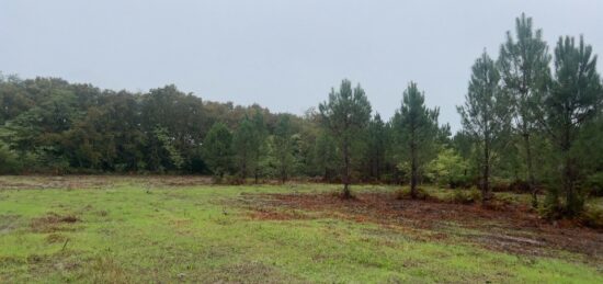 Terrain à bâtir à Montussan, Nouvelle-Aquitaine