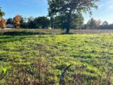 Terrain à bâtir à Jasseron (01250) 2224648-754annonce220250715h7XJy.jpeg Maisons France Confort