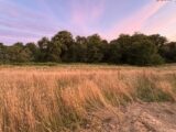 Terrain à bâtir à La Roche-sur-Yon (85000) 2224694-10920annonce120250716RVJJf.jpeg Maisons France Confort