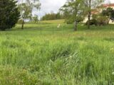 Terrain à bâtir à Saint-Thomas-la-Garde (42600) 2224977-3484annonce120250716XFXOT.jpeg Maisons France Confort