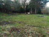 Maison à construire à Tingry (62830) 2225338-11072annonce120250716tRMf5.jpeg Maisons France Confort