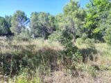 Terrain à bâtir à Néoules (83136) 2224638-11039annonce320250715DOIiK.jpeg Maisons France Confort