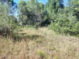 Terrain à bâtir à Néoules (83136) 2224638-11039annonce4202507158TQAA.jpeg Maisons France Confort