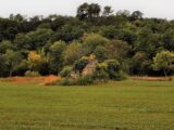 Terrain à bâtir à Leuc (11250) 2225648-10986annonce12025071669ftx.jpeg Maisons France Confort