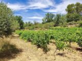 Maison à construire à Montfort-sur-Argens (83570) 2187773-10025annonce720250611LszLI.jpeg Maisons France Confort