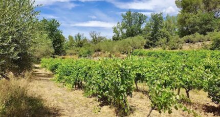 Montfort-sur-Argens Maison neuve - 2187773-10025annonce720250611LszLI.jpeg Maisons France Confort