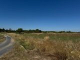 Terrain à bâtir à Marseillan (34340) 2226433-11455annonce120250717XZQBd.jpeg Maisons France Confort