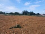 Terrain à bâtir à Cunac (81990) 2225725-11178annonce1202507165rfnX.jpeg Maisons France Confort