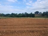 Terrain à bâtir à Cunac (81990) 2225725-11178annonce220250716XHfkB.jpeg Maisons France Confort