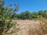 Terrain à bâtir à Tauriac (46130) 2226871-11302annonce120250717MVJG5.jpeg Maisons France Confort