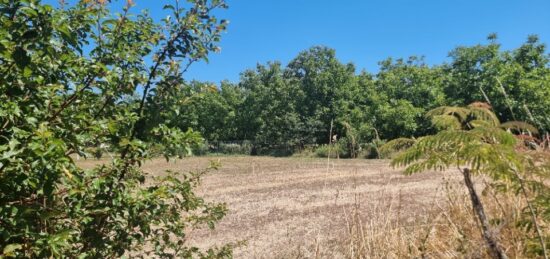 Terrain à bâtir à Tauriac, Occitanie
