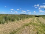 Terrain à bâtir à Lantheuil (14480) 2226915-10282annonce120250717sV0JC.jpeg Maisons France Confort
