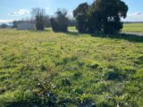 Terrain à bâtir à Pisany (17600) 2227451-11194annonce320250718txemG.jpeg Maisons France Confort