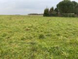 Terrain à bâtir à Taillebourg (17350) 2227563-11194annonce120250718QCi8n.jpeg Maisons France Confort