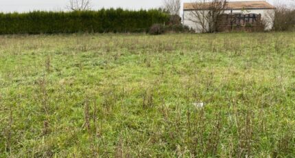 Champagne Terrain à bâtir - 2227592-11194annonce220250718fzFTJ.jpeg Maisons France Confort