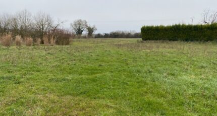 Champagne Terrain à bâtir - 2227592-11194annonce320250718z2RzA.jpeg Maisons France Confort