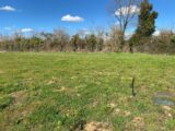 Terrain à bâtir à Tesson (17460) 2227633-11194annonce320250718GUFHd.jpeg Maisons France Confort