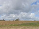 Terrain à bâtir à Mons-en-Pévèle (59246) 2227830-10130annonce120250718X6bTA.jpeg Maisons France Confort