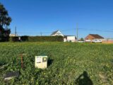 Maison à construire à Annay (62880) 2227911-10130annonce220250718gyEkD.jpeg Maisons France Confort