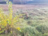 Terrain à bâtir à La Sauve (33670) 2228653-11266annonce120250718D4EaS.jpeg Maisons France Confort