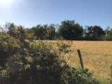 Terrain à bâtir à Lanton (33138) 2223588-1090annonce220250715F4nQJ.jpeg Maisons France Confort