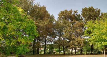 Berson Maison neuve - 2229076-10276annonce1202507203Pi4D.jpeg Maisons France Confort