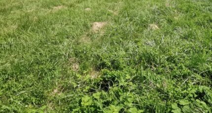 Atur Maison neuve - 2198810-11235annonce120250620DVuud.jpeg Maisons France Confort