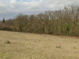 Maison à construire à Auterive (31190) 2228583-6043annonce120250718h9OmR.jpeg Maisons France Confort