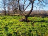 Maison à construire à Langon (33210) 2230421-11141annonce120250721PxPTx.jpeg Maisons France Confort
