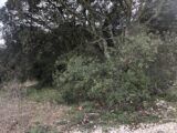 Terrain à bâtir à La Baume-de-Transit (26790) 2230668-812annonce220241128G9DpD.jpeg Maisons France Confort