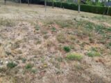 Maison à construire à Isle (87170) 2230663-3291annonce1202507222ZSFd.jpeg Maisons France Confort