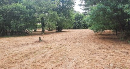 Salles Terrain à bâtir - 2230794-11151annonce1202507226C14r.jpeg Maisons France Confort
