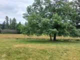 Terrain à bâtir à Ménesplet (24700) 2231157-5020annonce120250722rDXPg.jpeg Maisons France Confort
