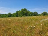 Terrain à bâtir à Cubnezais (33620) 2202610-11015annonce120250624AgcJr.jpeg Maisons France Confort