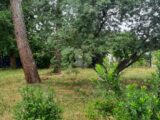 Maison à construire à Salles (33770) 2231450-11151annonce120250723MMTSo.jpeg Maisons France Confort
