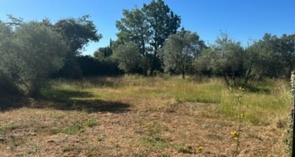 Flayosc Terrain à bâtir - 2231538-3951annonce120250723CIcas.jpeg Maisons France Confort