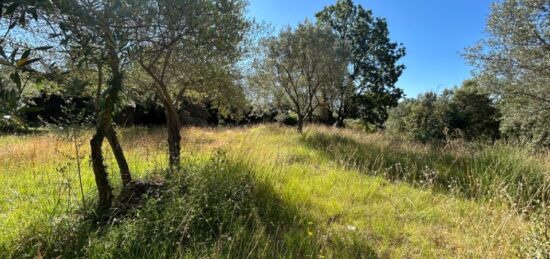 Terrain à bâtir à , Var
