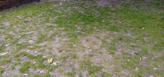 Terrain à bâtir à La Teste-de-Buch, Nouvelle-Aquitaine
