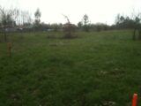 Terrain à bâtir à Gauriaguet (33240) 2230799-11265annonce120250722nZT0S.jpeg Maisons France Confort