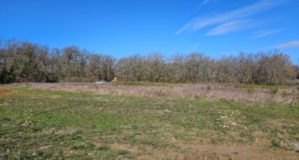 Puydaniel Terrain à bâtir - 2231659-6043annonce420250723SFMIr.jpeg Maisons France Confort