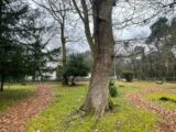 Terrain à bâtir à Gradignan (33170) 2174990-11262annonce120250530hieCJ.jpeg Maisons France Confort