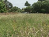 Terrain à bâtir à Rouans (44640) 2232955-11110annonce3202507244Gfwc.jpeg Maisons France Confort