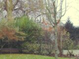 Maison à construire à Courpalay (77540) 2233183-4353annonce220250724rwogv.jpeg Maisons France Confort