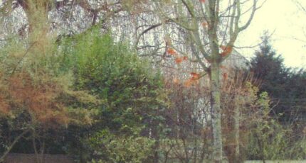 Courpalay Maison neuve - 2233179-4353annonce220250724rwogv.jpeg Maisons France Confort
